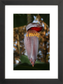 Banana Flower