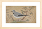 Study of a Bird