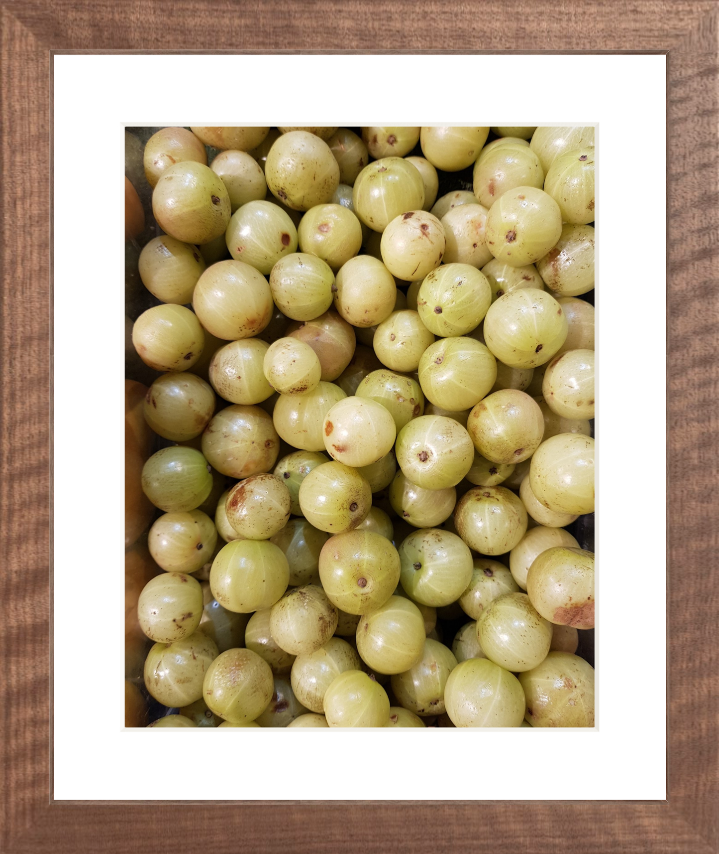 Gooseberries