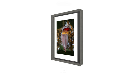 Banana Flower