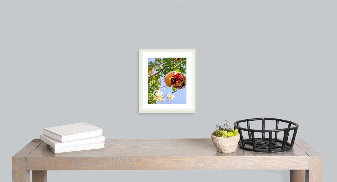 Pomegranate Tree