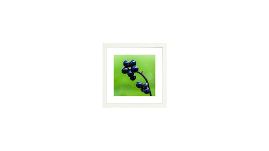 Fruit Flower