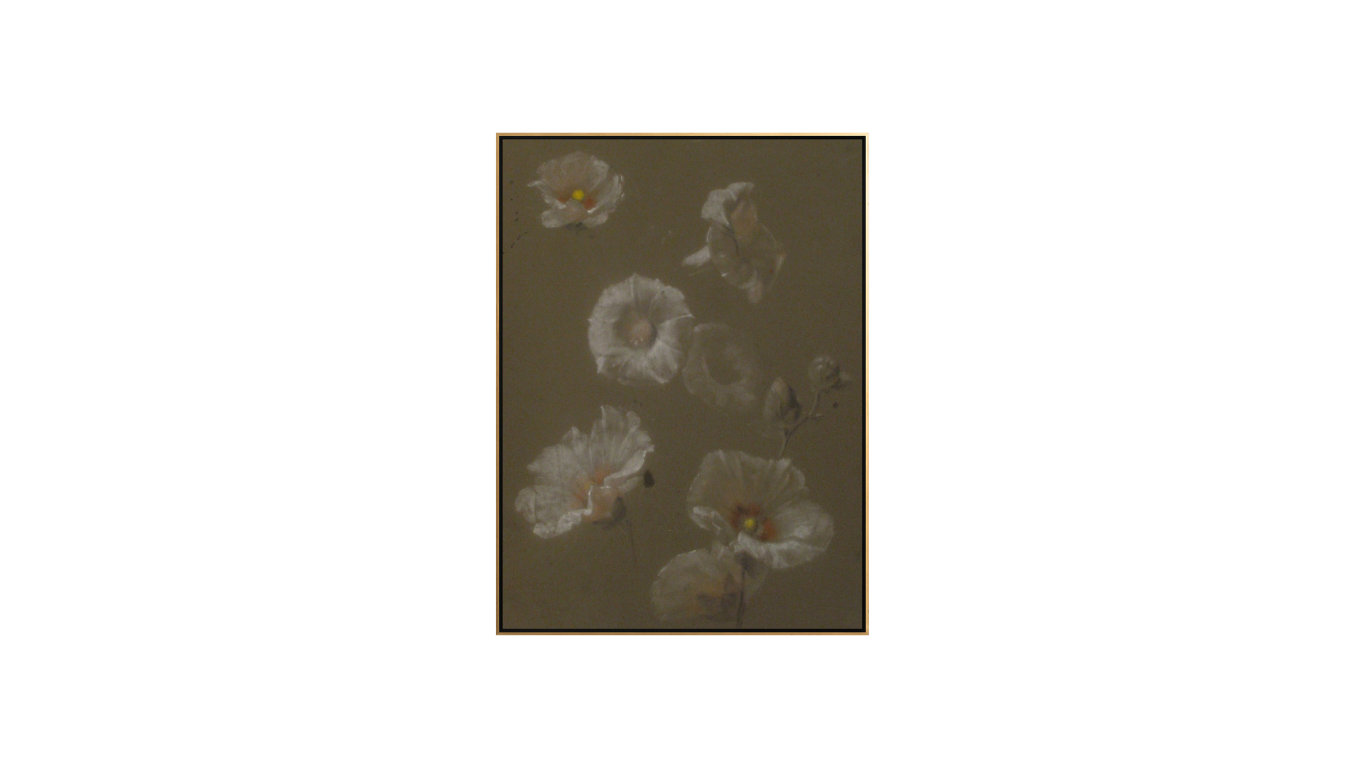 White Hollyhocks